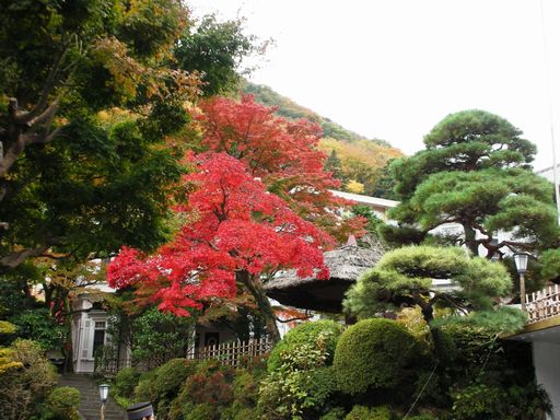 箱根 富士屋ホテルの紅葉